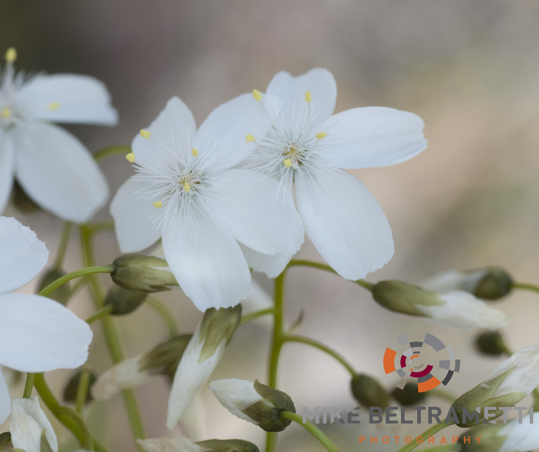 Nikon D300S sample photo. Unseen beauty of western australia photography