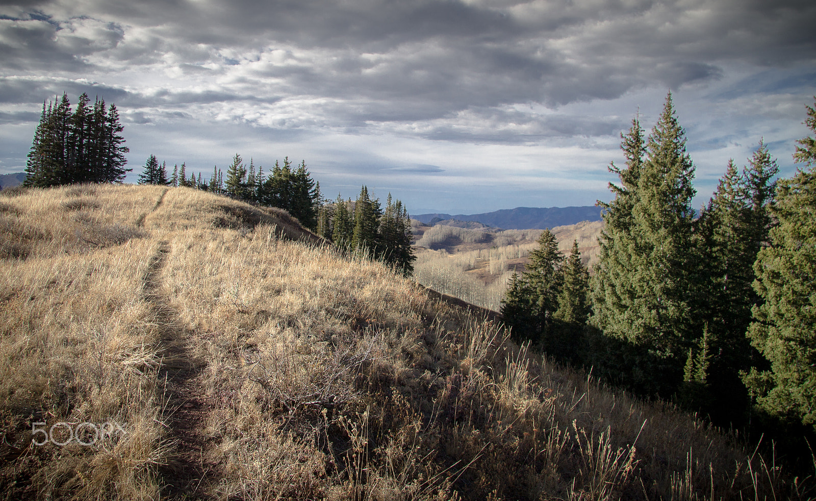 Canon EF-S 17-85mm F4-5.6 IS USM sample photo. Follow the path photography