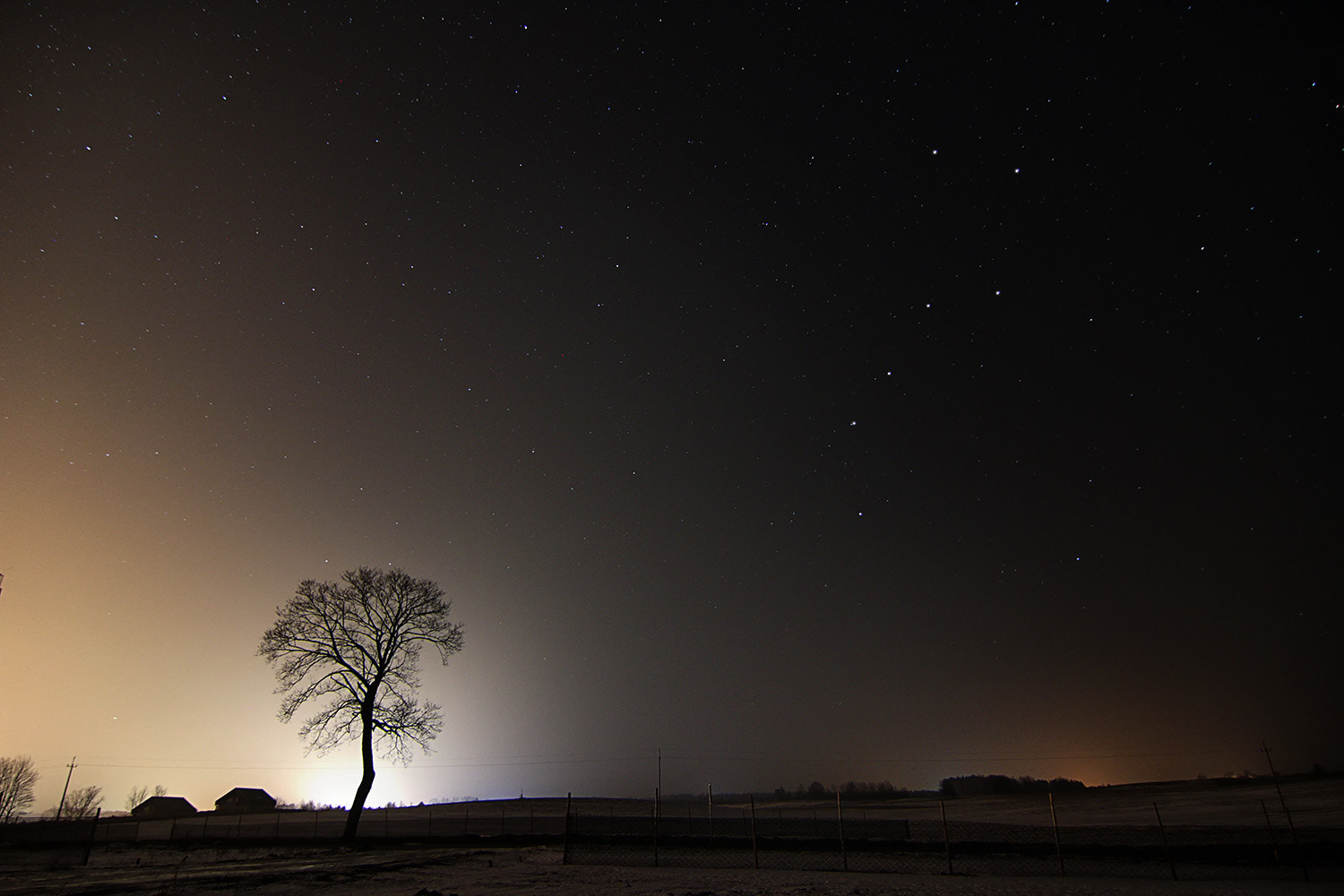 Tokina AT-X Pro 12-24mm F4 (IF) DX sample photo. Img photography