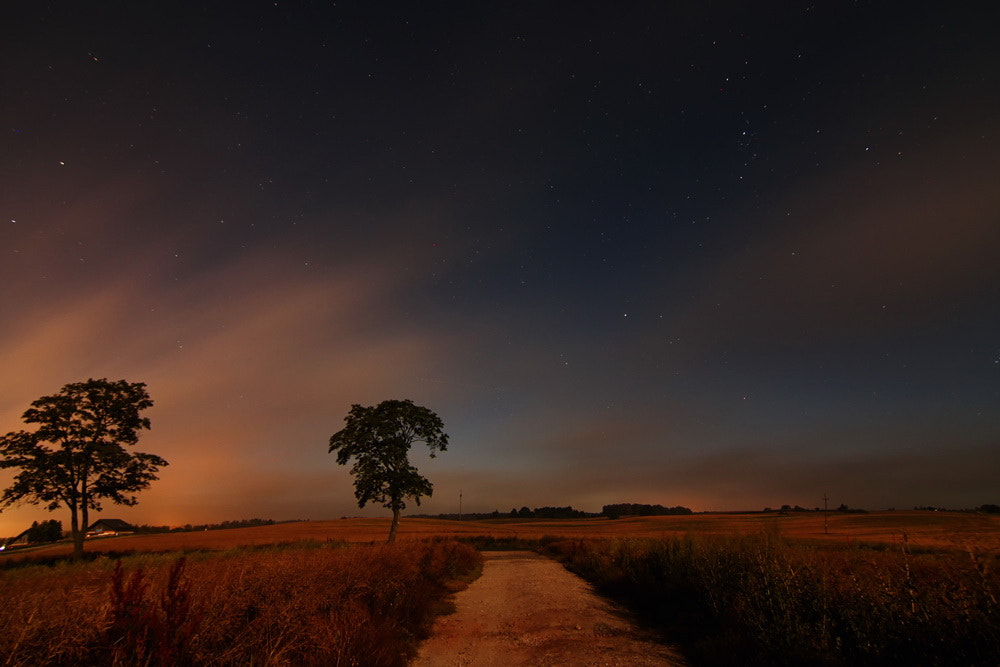 Tokina AT-X Pro 12-24mm F4 (IF) DX sample photo. Img photography