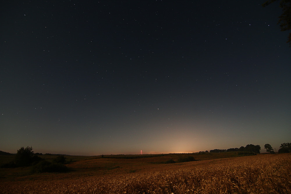 Tokina AT-X Pro 12-24mm F4 (IF) DX sample photo. Img photography
