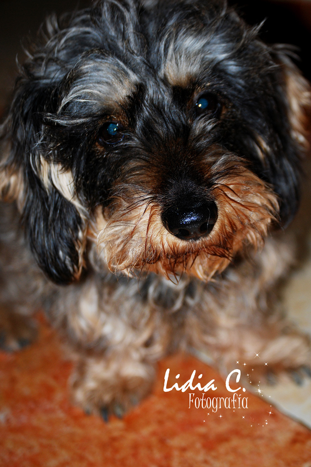 Nikon D60 sample photo. Kira photography