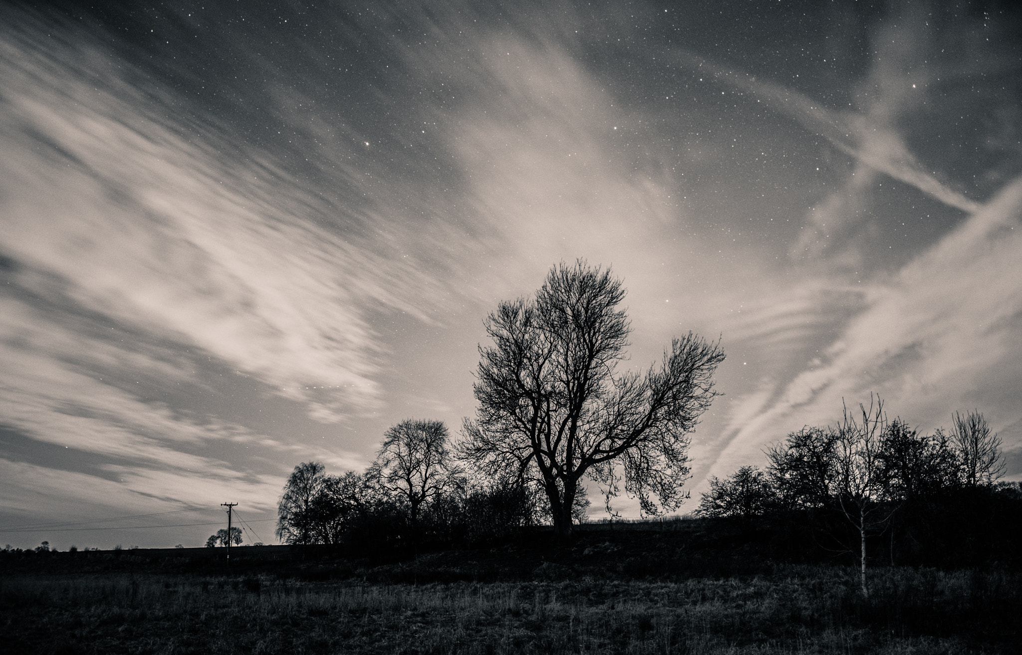 Nikon D7200 + Samyang 16mm F2 ED AS UMC CS sample photo. The old tree at night photography