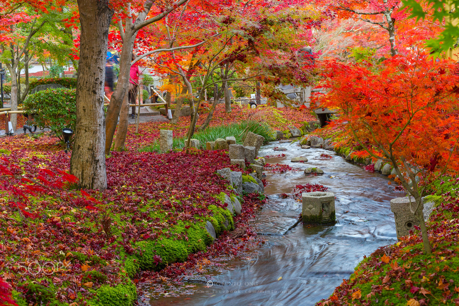 Sony a7 II + Canon EF 50mm F1.4 USM sample photo. Eikando_2.jpg photography