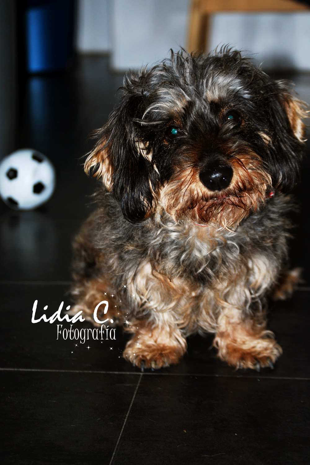 Nikon D60 sample photo. Kira photography