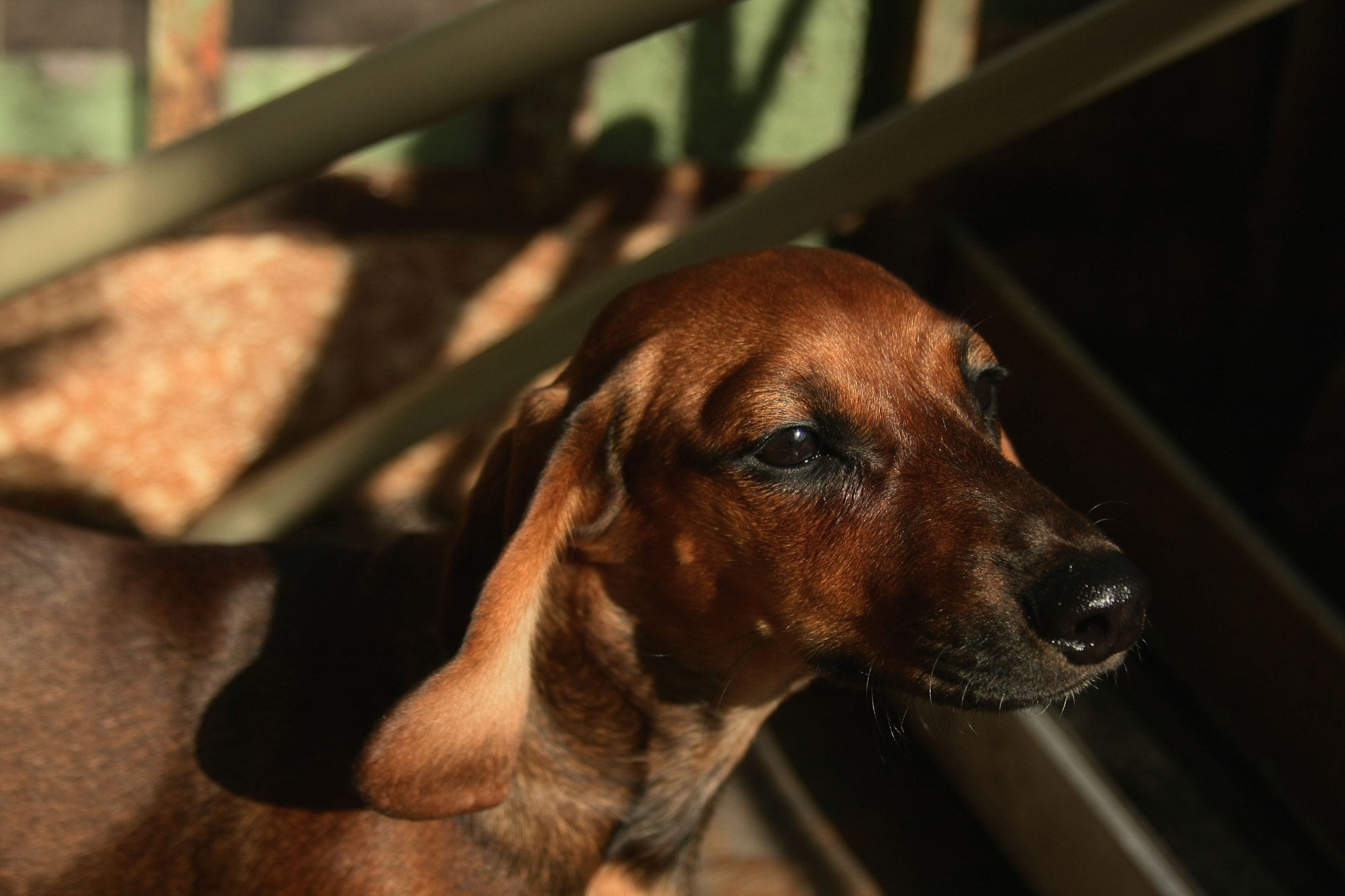 Canon EF 28-135mm F3.5-5.6 IS USM sample photo. Img photography
