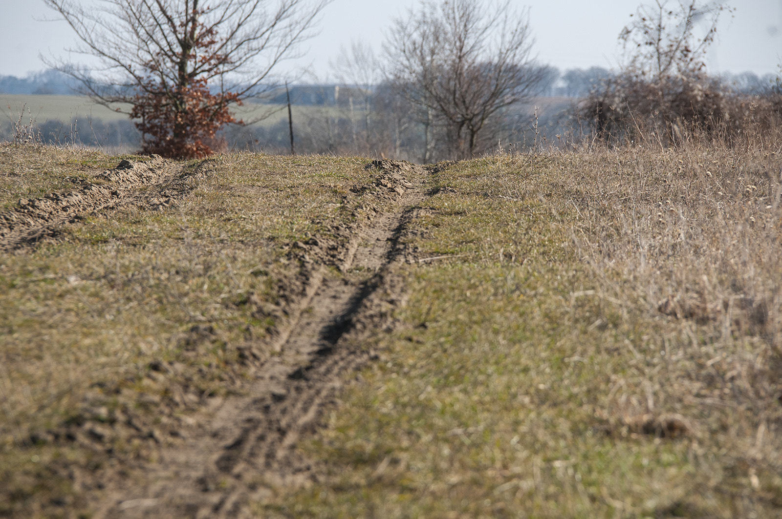 Nikon D300S sample photo. Road photography
