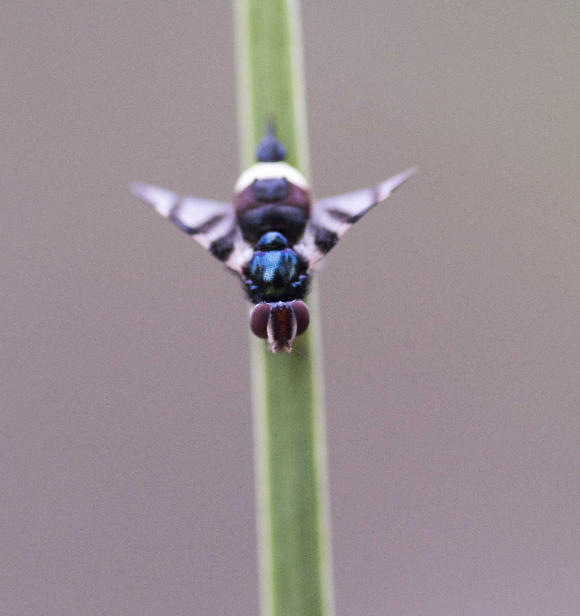 Nikon D810 sample photo. Unseen beauty of western australia photography