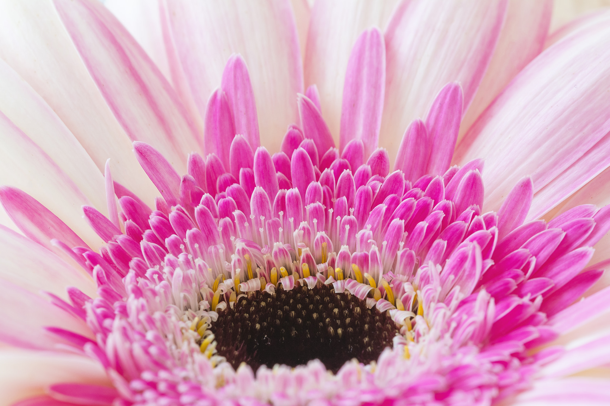 Sigma 105mm F2.8 EX DG OS HSM sample photo. Open photography