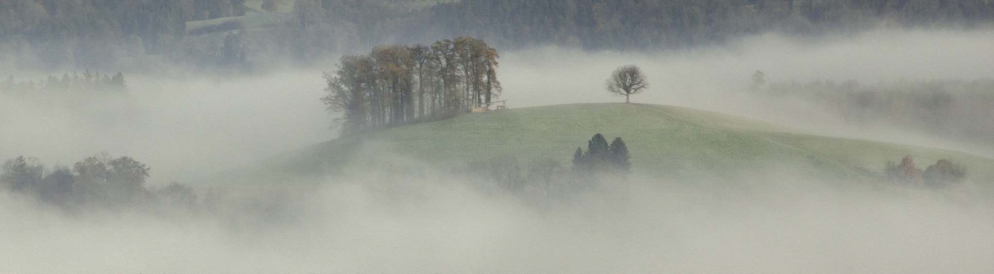 Canon EOS 5D Mark II sample photo. Sweeping fog over swiss meadows photography