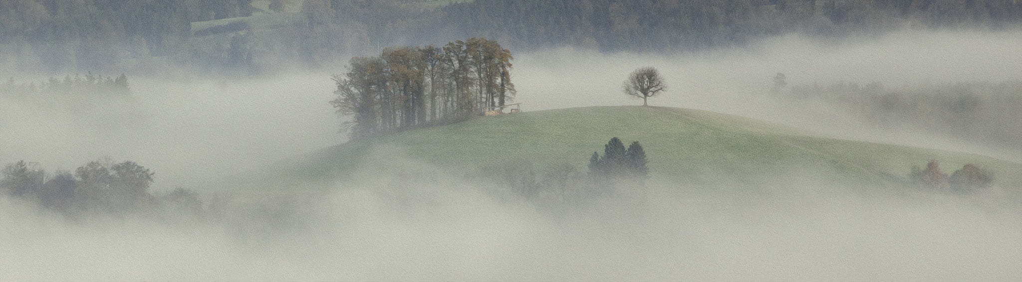 Canon EF 70-300mm F4-5.6 IS USM sample photo. Sweeping fog over swiss meadows photography