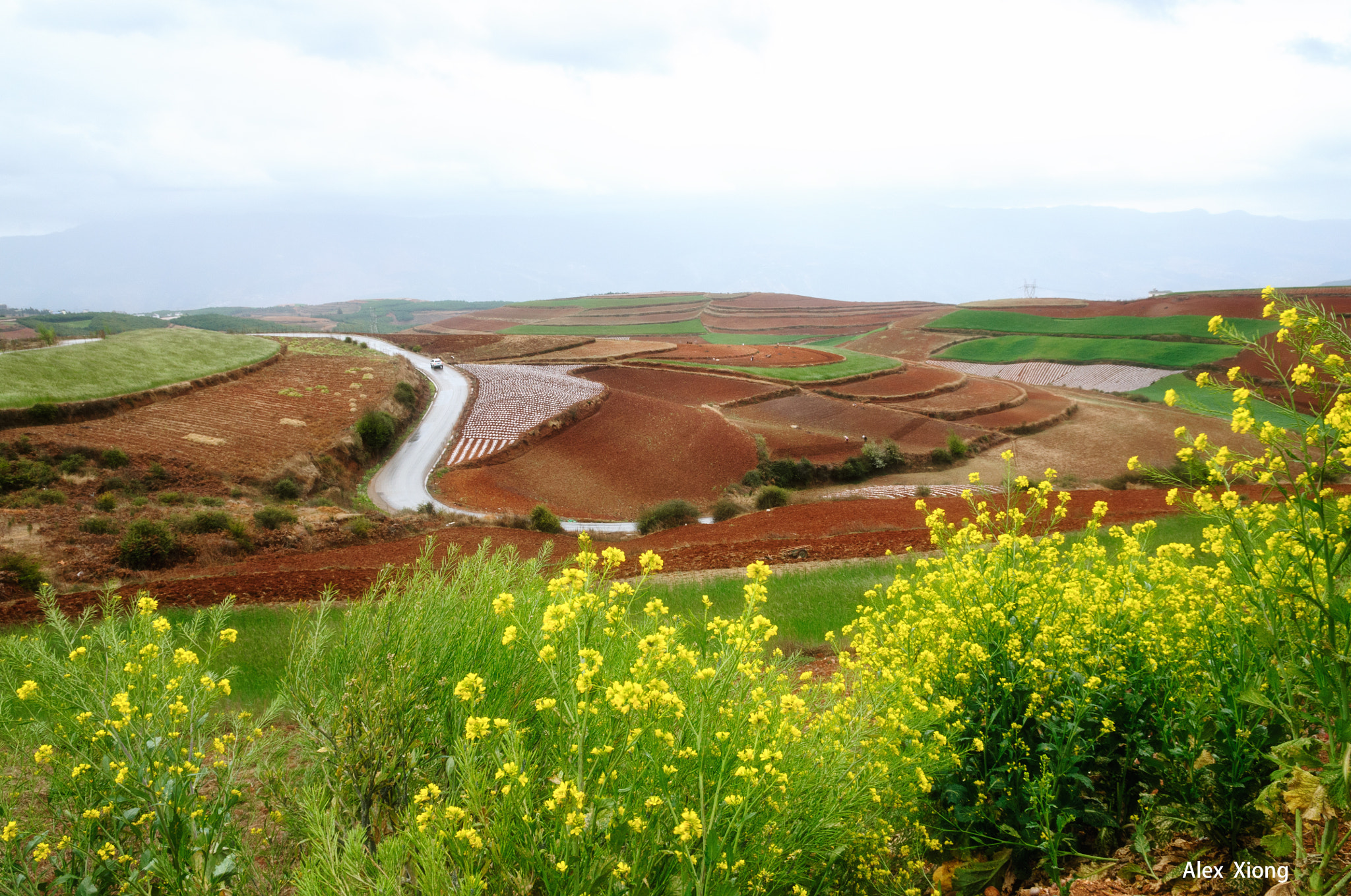 Nikon D300S sample photo. Colorful land photography