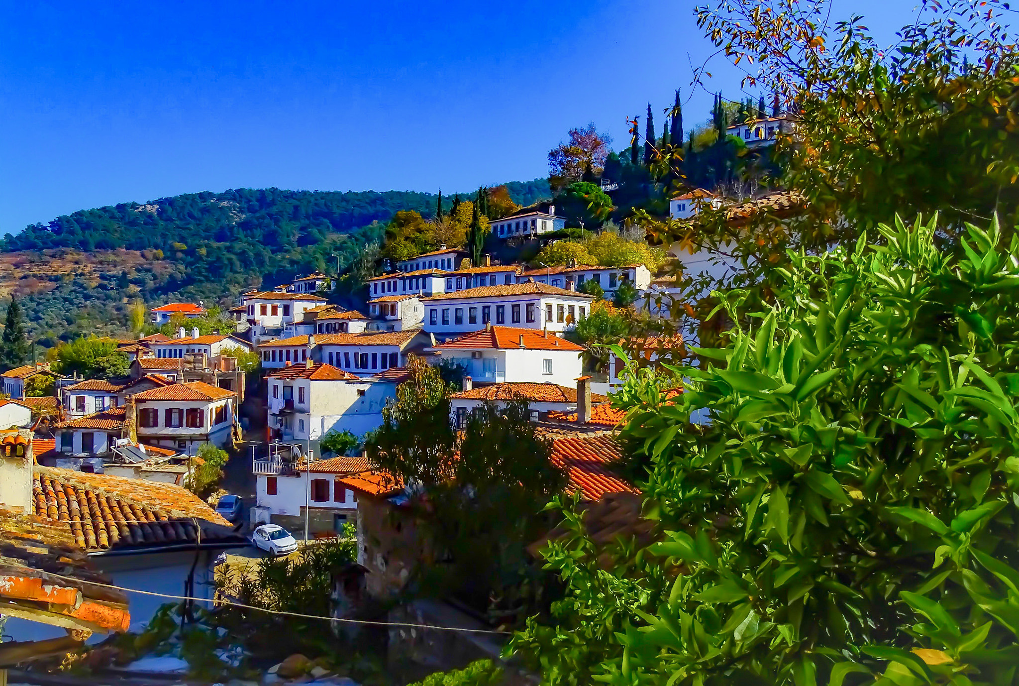 Sony 24-210mm F2.8-6.3 sample photo. Şirince photography
