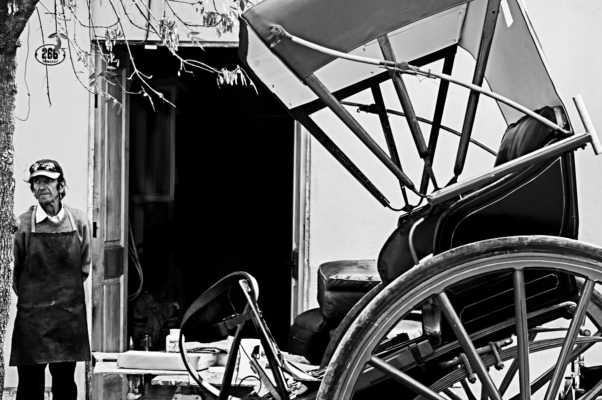 Nikon D5000 sample photo. Presentes pasados photography