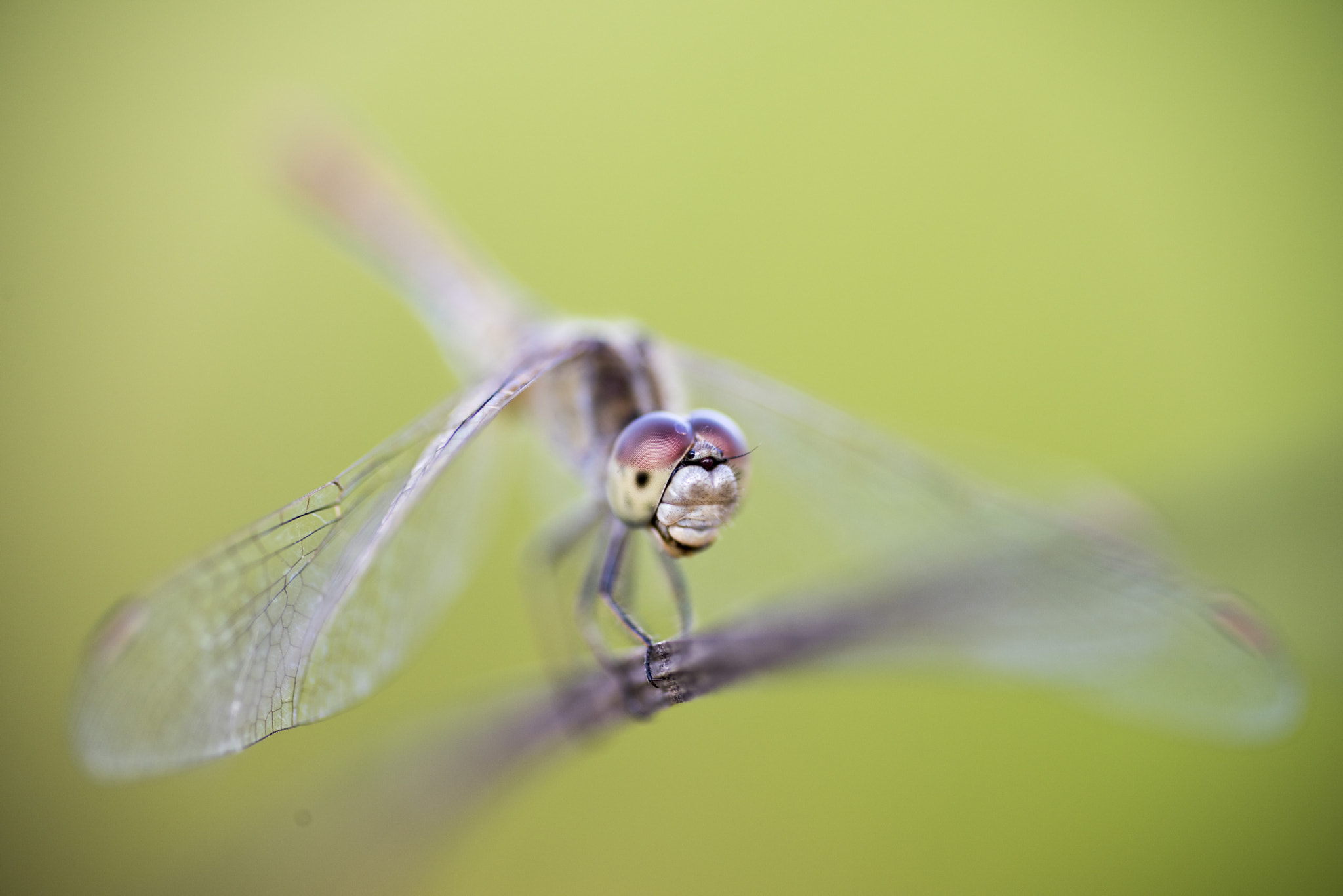 Nikon D810 sample photo. Unseen beauty of western australia photography