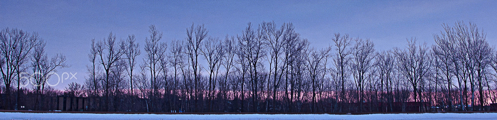 AF Zoom-Nikkor 28-80mm f/3.5-5.6D sample photo. Winter tree line photography