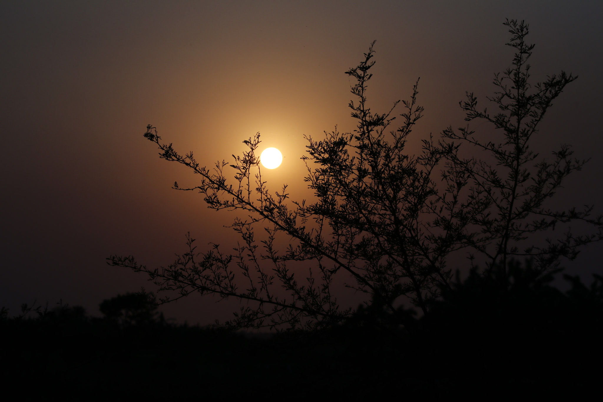Canon EF 70-300mm F4-5.6 IS USM sample photo
