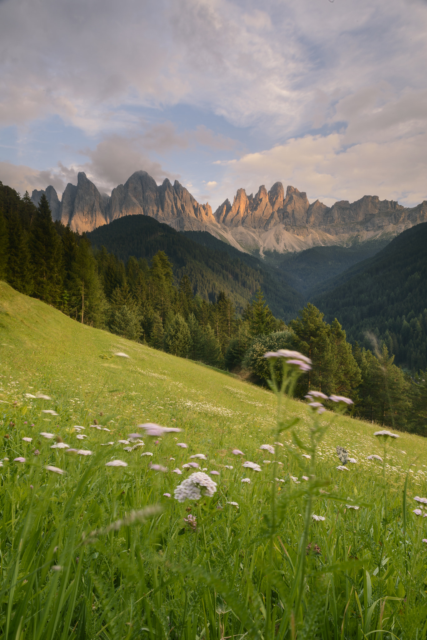 Nikon AF Nikkor 24mm F2.8D sample photo. Geisler gruppe in summer photography