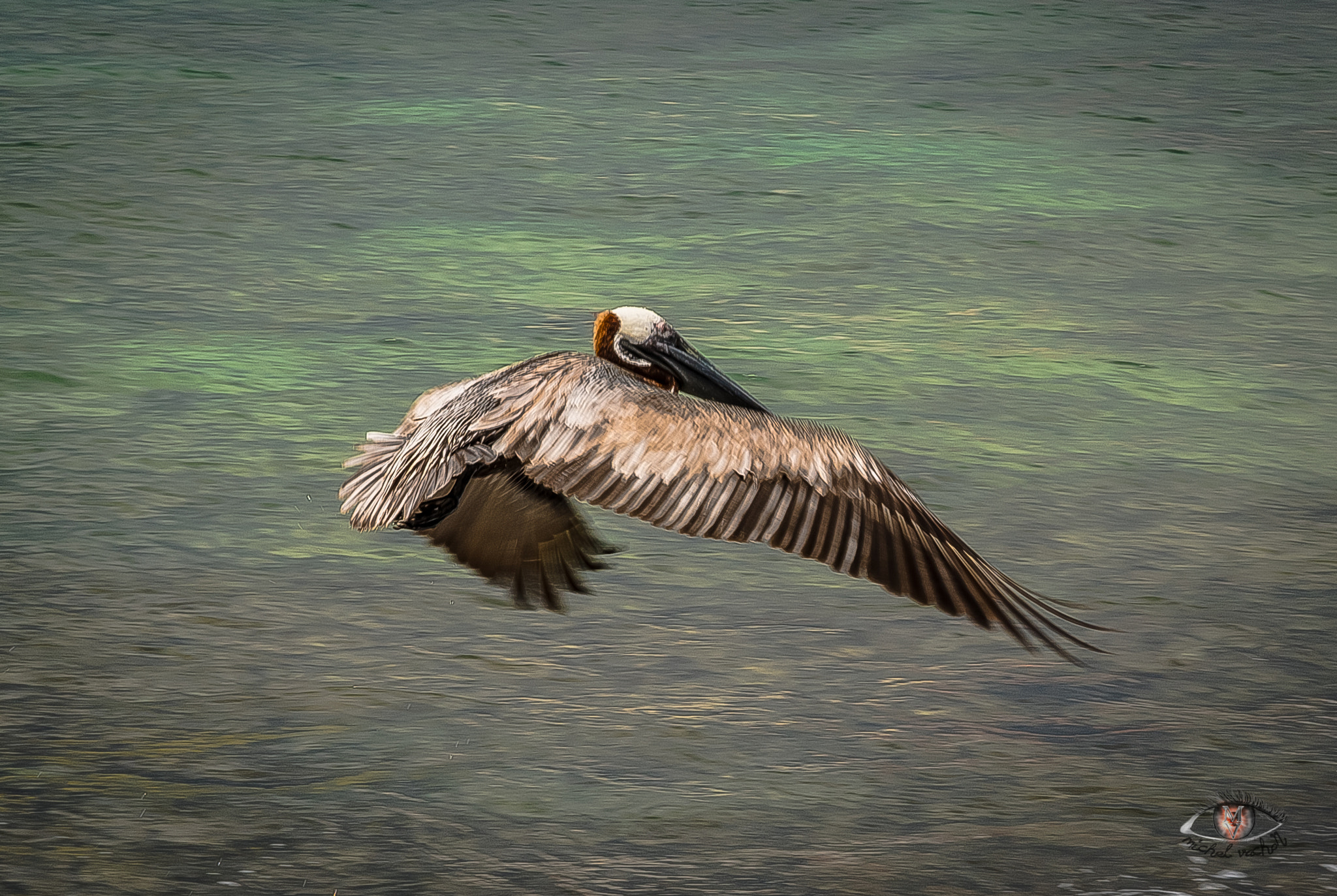 Nikon D750 sample photo. Fishing time photography