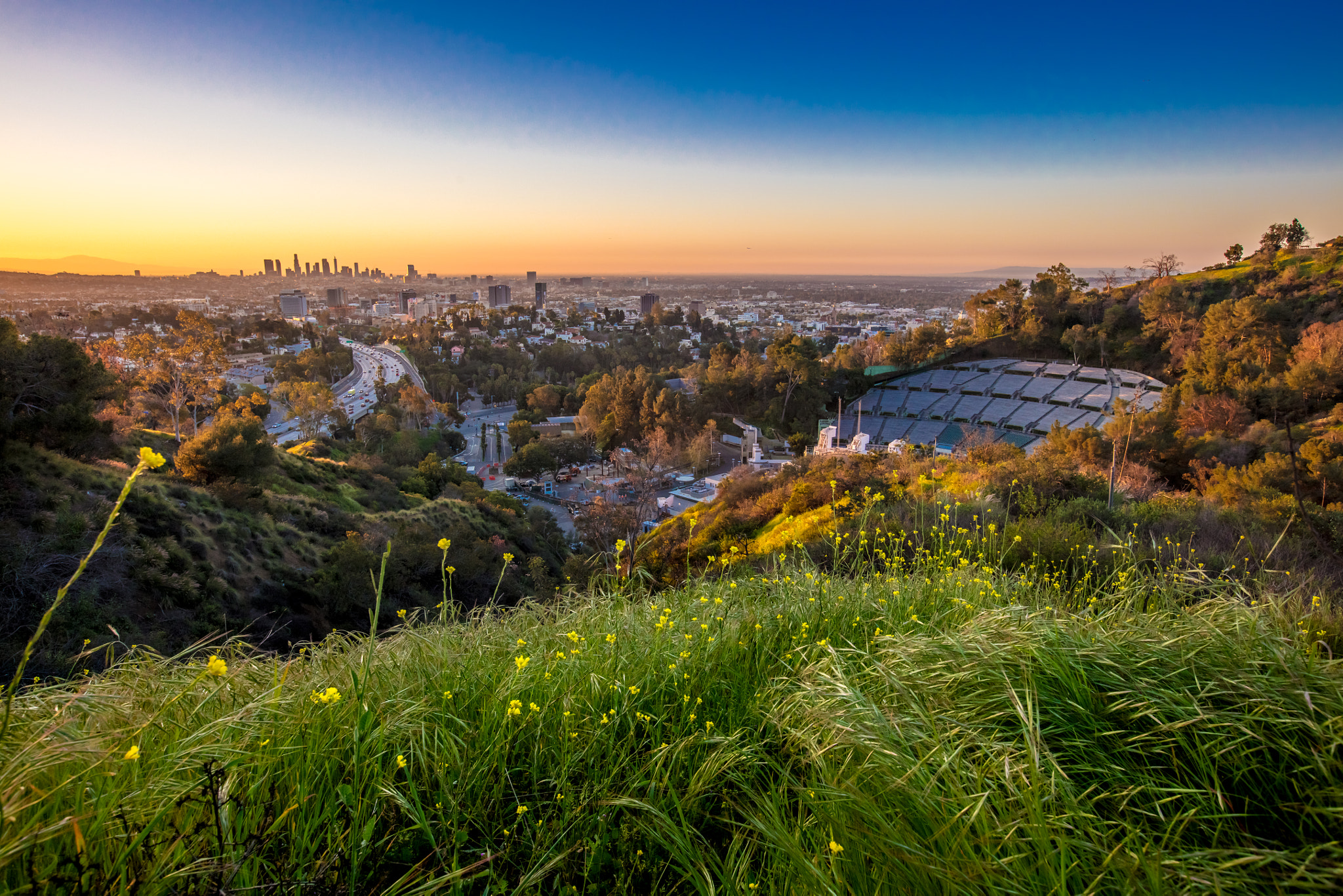 Canon EOS 5DS R + Canon EF 16-35mm F2.8L II USM sample photo. Hollywood bowl morning photography