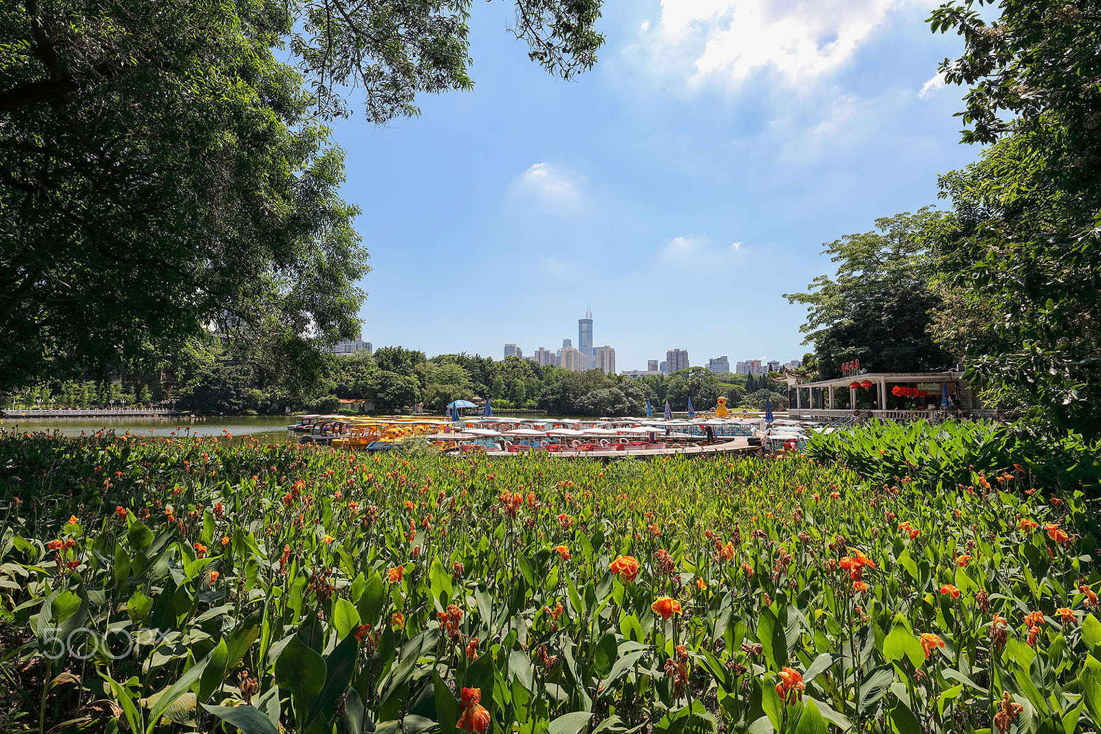 Canon EF 16-35mm F4L IS USM sample photo. Flower garden photography