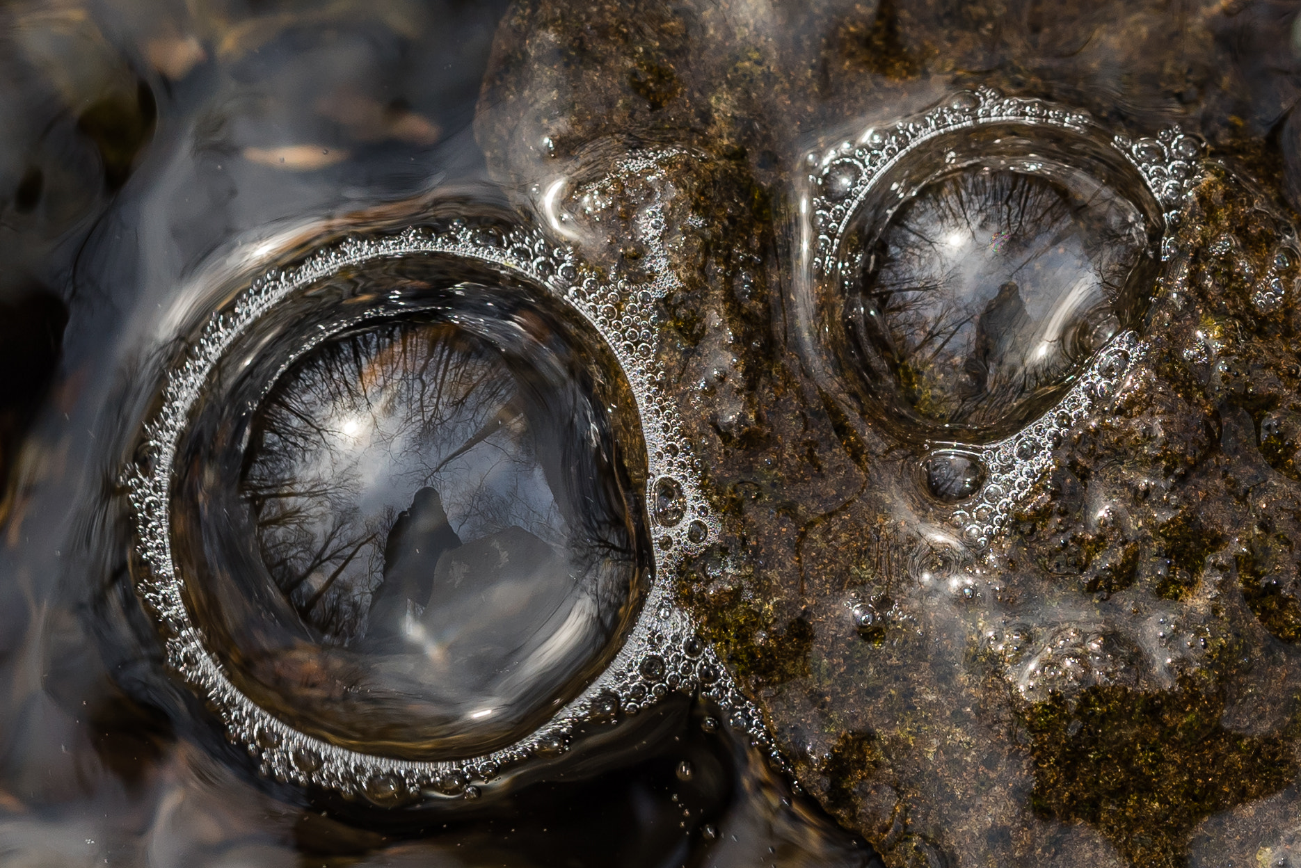 Nikon D810 + Zeiss Milvus 85mm f/1.4 sample photo. Mother nature is watching you photography