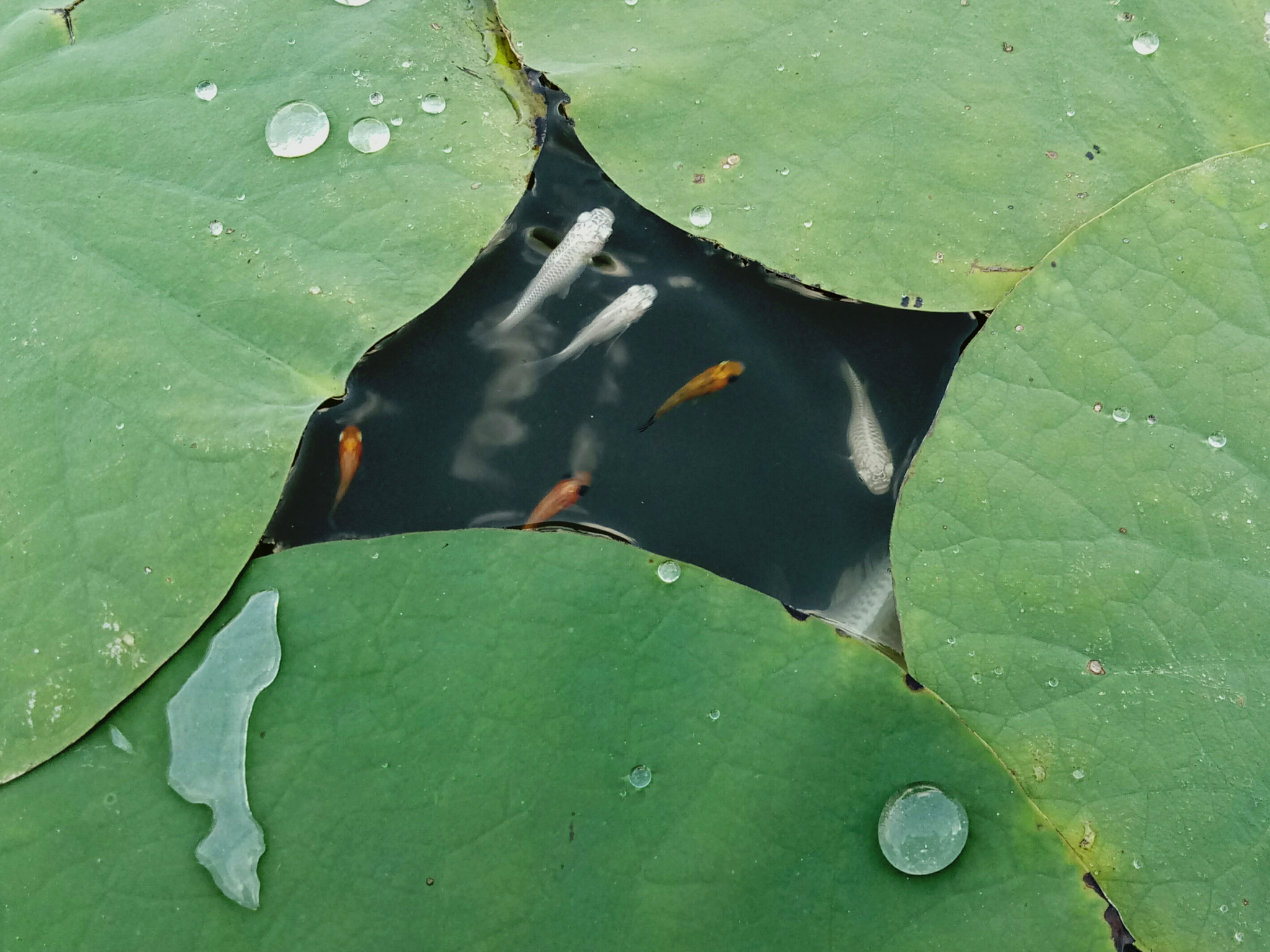 Meizu m3 note sample photo