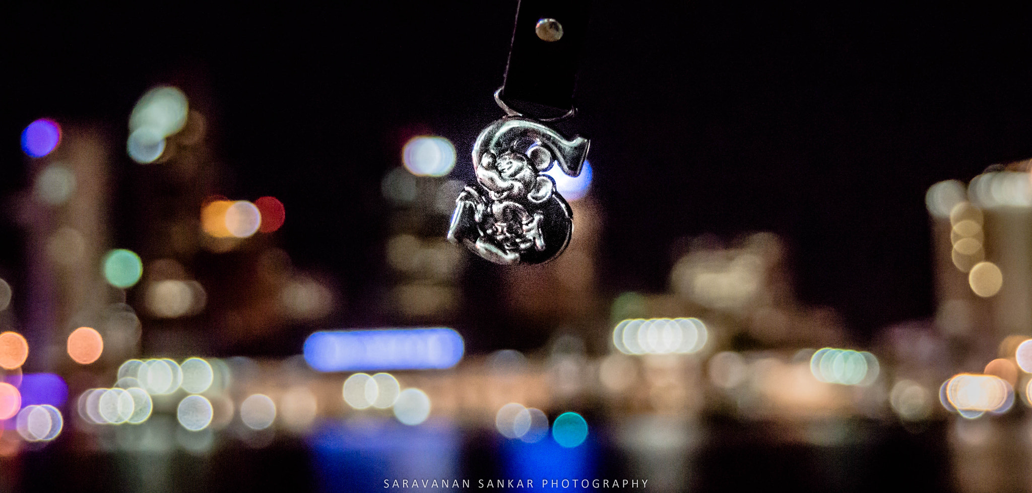 Sony DT 18-250mm F3.5-6.3 sample photo. Bokeh photography
