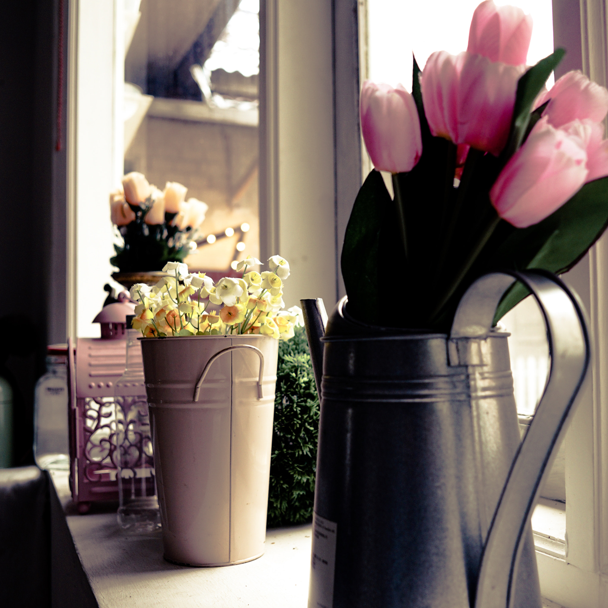Sony a6000 + Sigma 19mm F2.8 EX DN sample photo. Vases photography