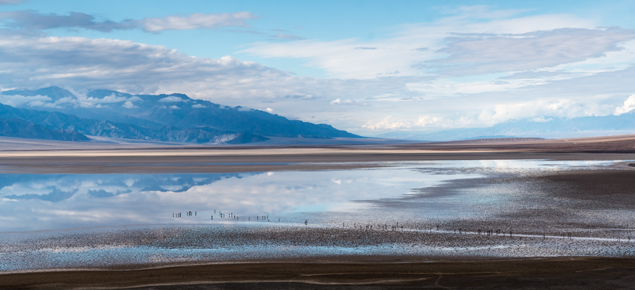 Canon EF 24-70mm F2.8L II USM sample photo. A great mirror photography