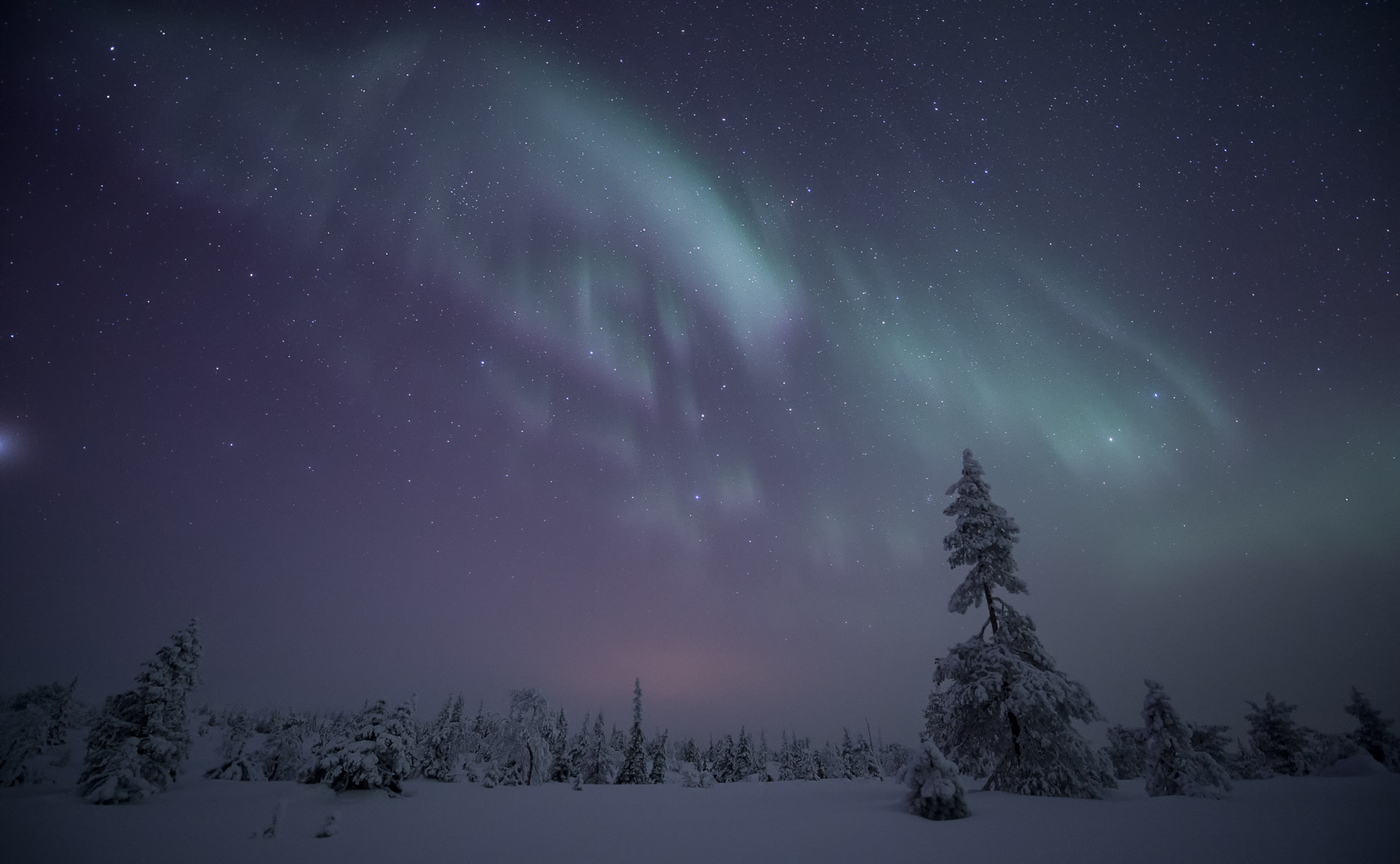 Nikon D5 + Nikon AF-S Nikkor 14-24mm F2.8G ED sample photo. Lapland #2 photography