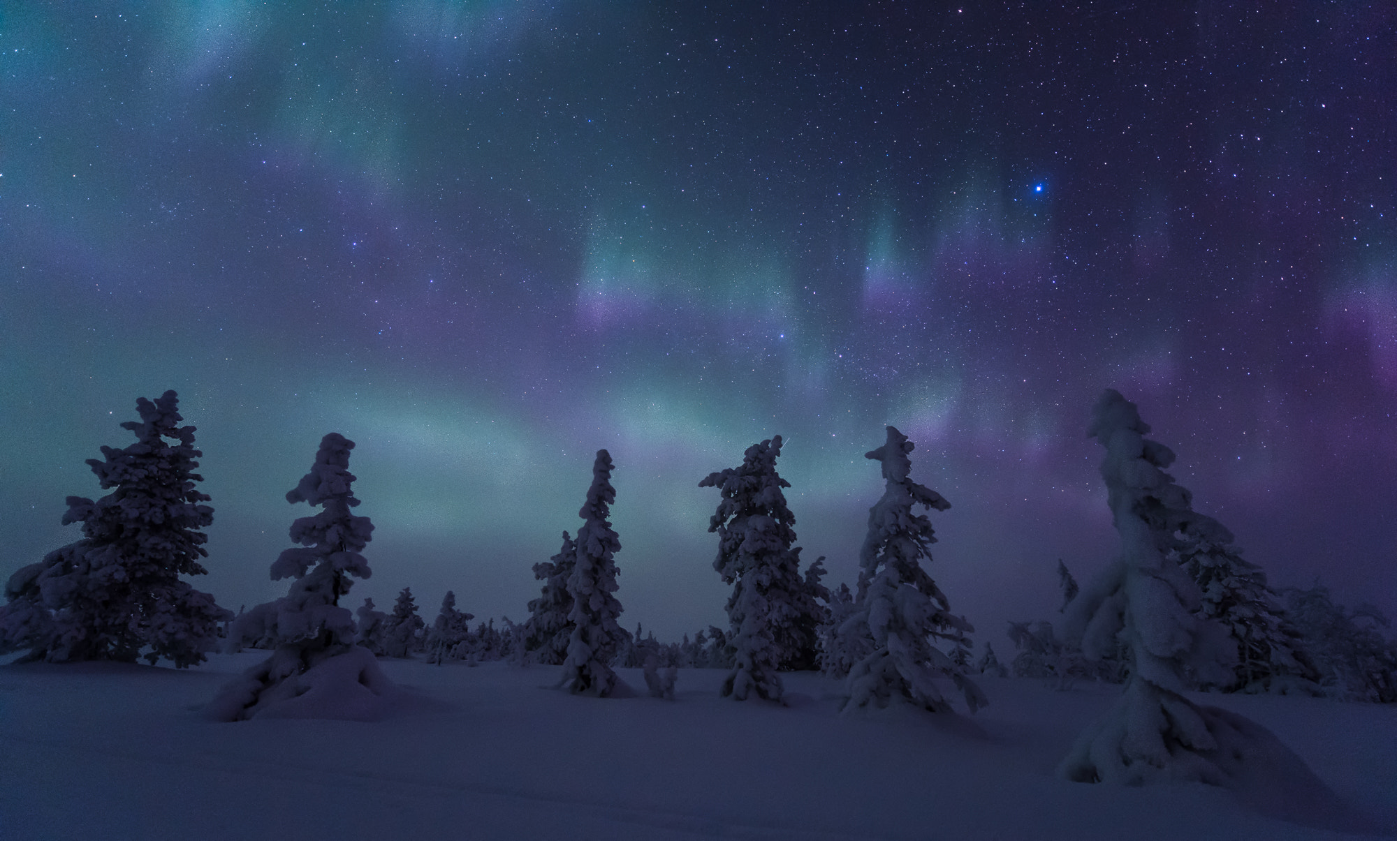 Nikon D5 + Nikon AF-S Nikkor 14-24mm F2.8G ED sample photo. Lapland #3 photography