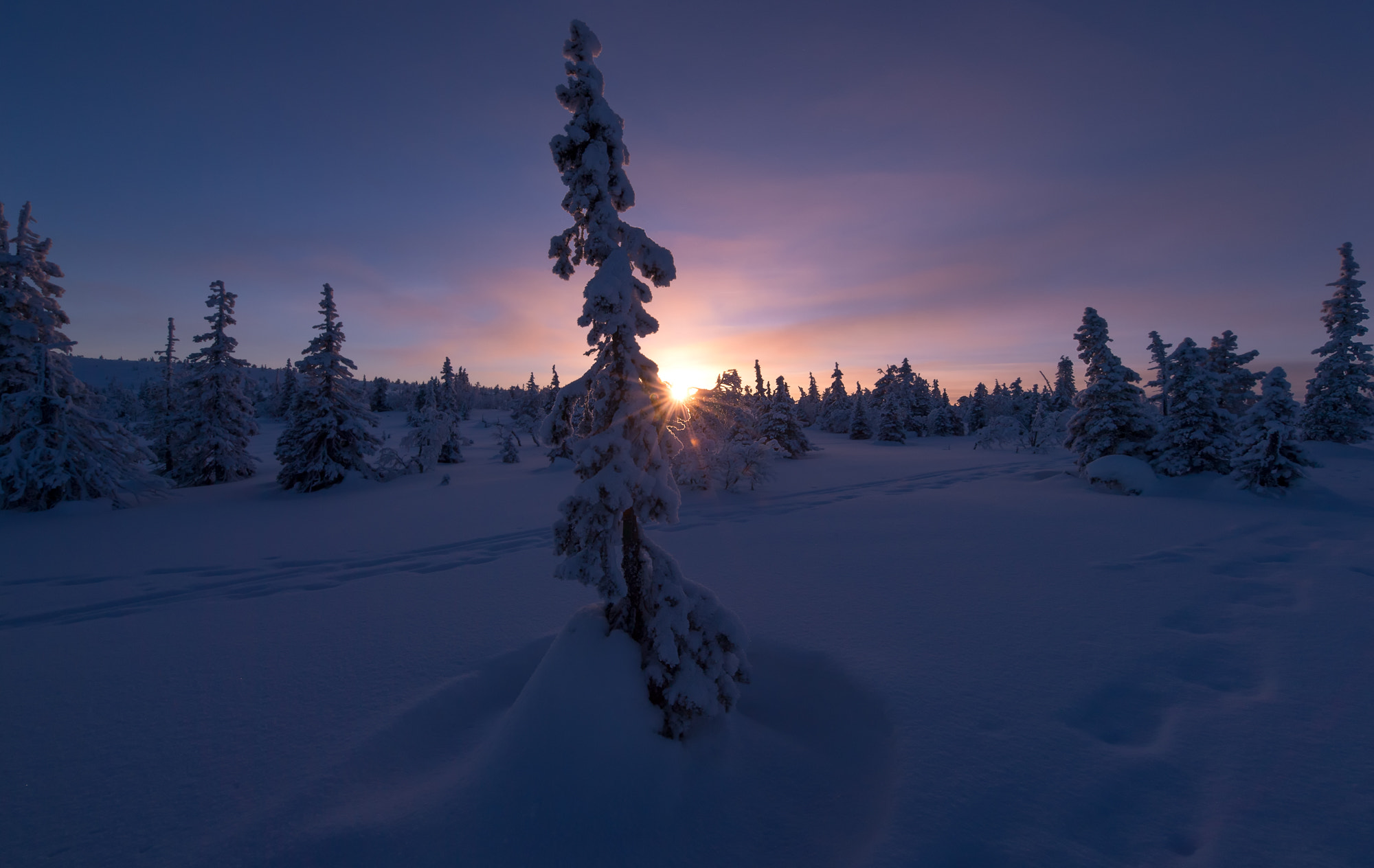 Nikon D5 + Nikon AF-S Nikkor 14-24mm F2.8G ED sample photo. Lapland #5 photography