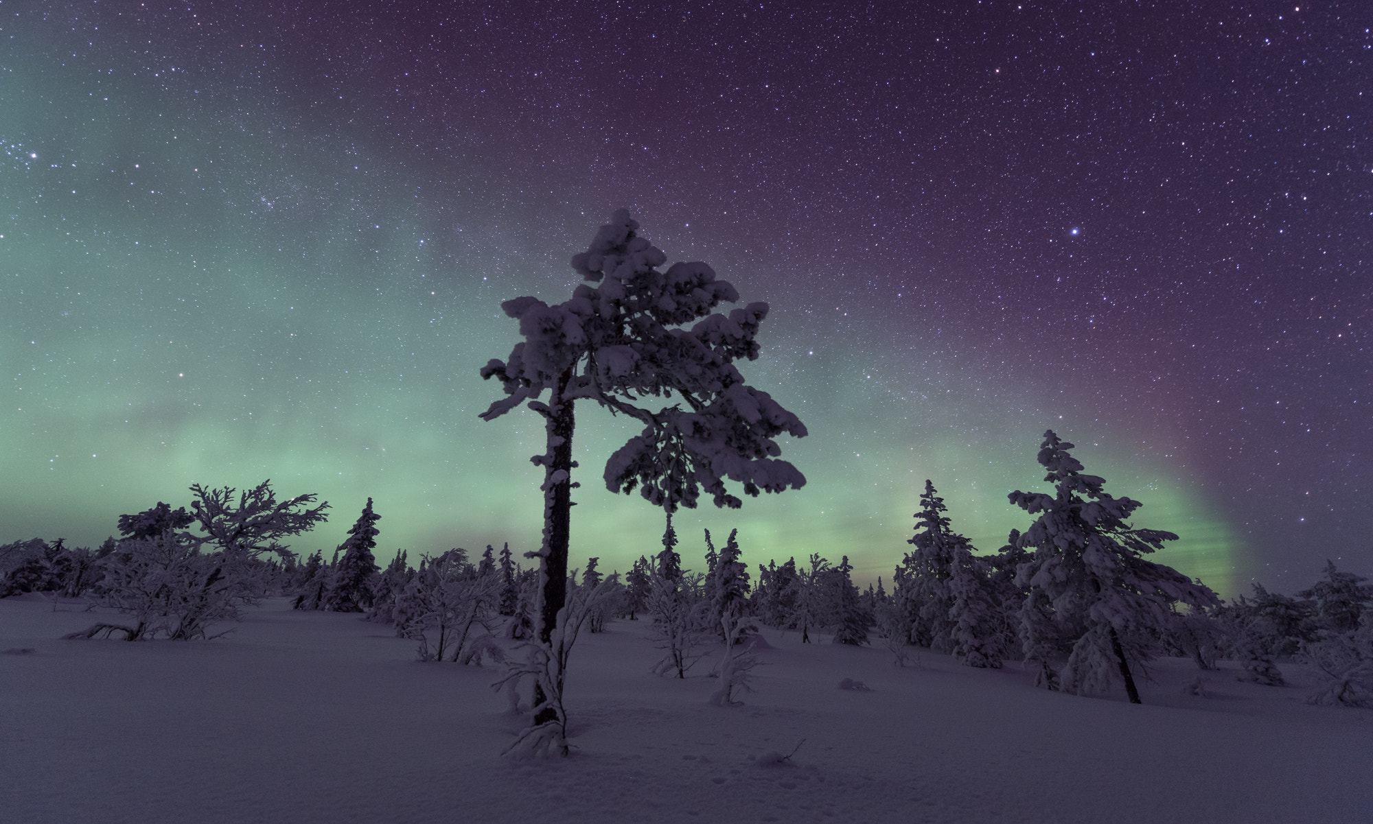 Nikon D5 + Nikon AF-S Nikkor 14-24mm F2.8G ED sample photo. Lapland #6 photography