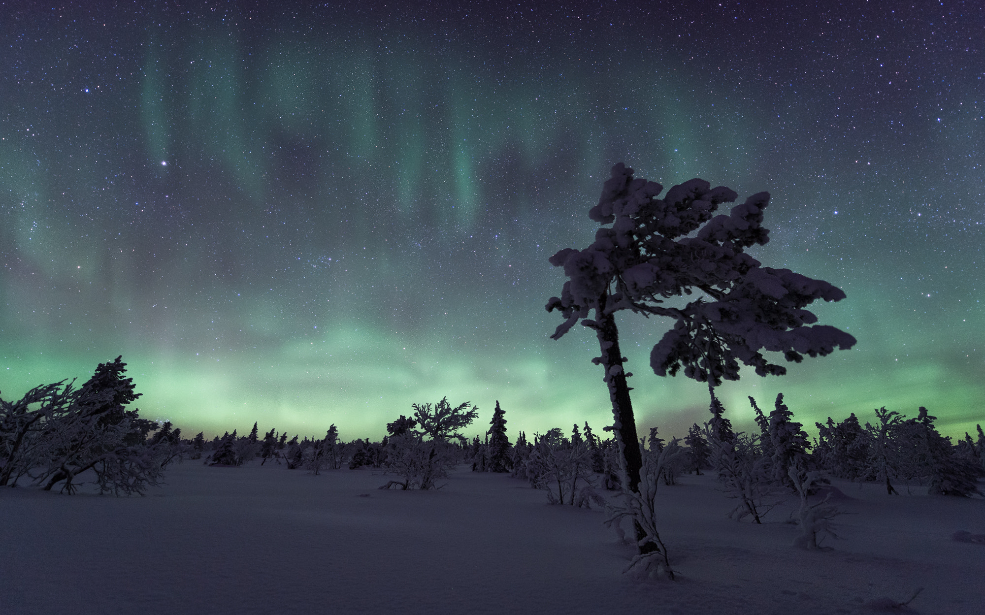 Nikon D5 + Nikon AF-S Nikkor 14-24mm F2.8G ED sample photo. Lapland #4 photography