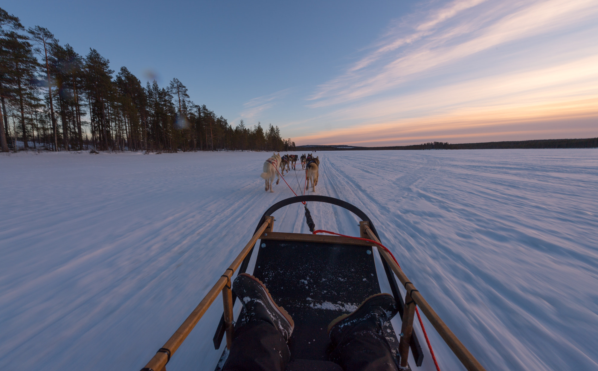 Nikon D5 + Nikon AF-S Nikkor 14-24mm F2.8G ED sample photo. Lapland #9 photography