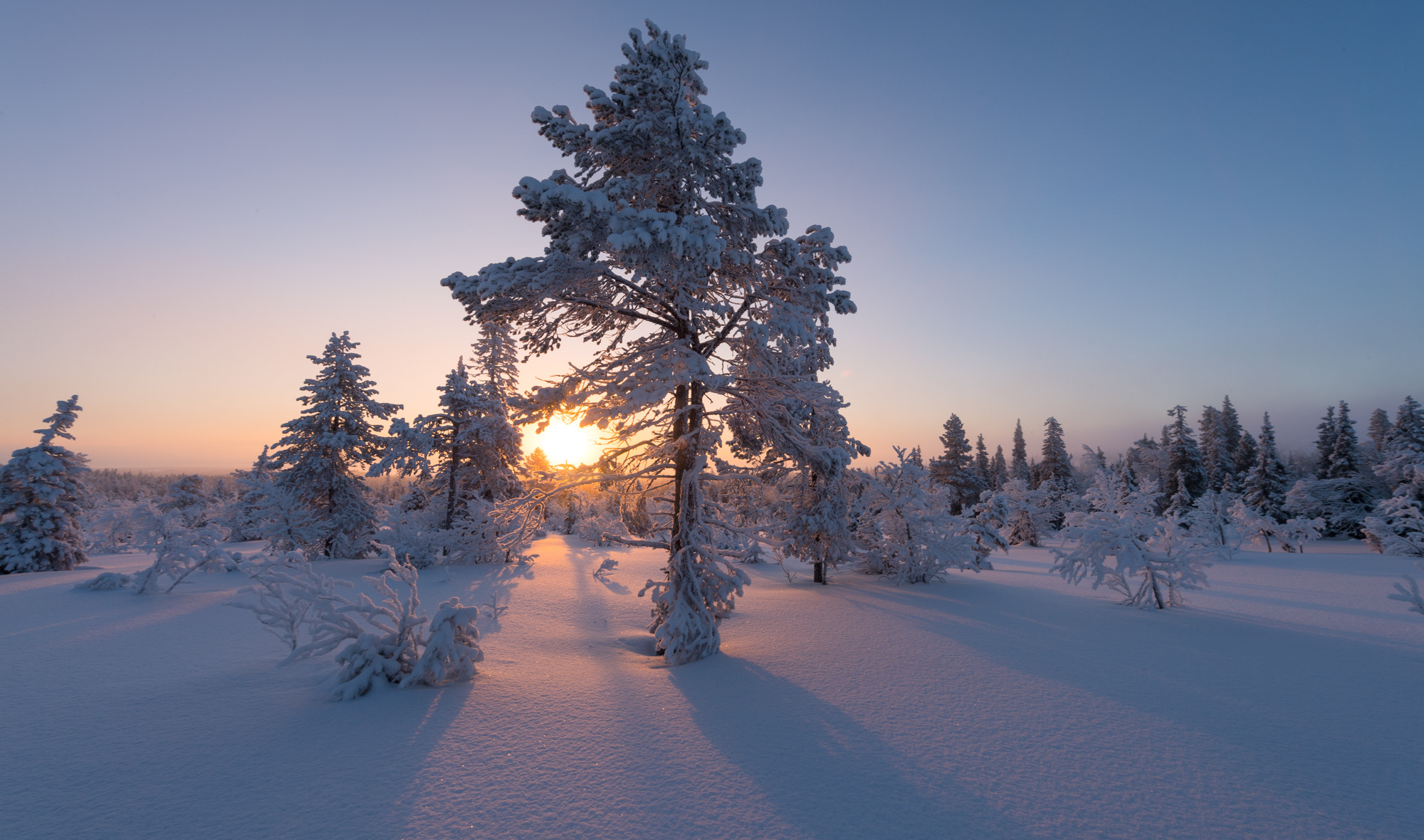 Nikon D5 + Nikon AF-S Nikkor 14-24mm F2.8G ED sample photo. Lapland #8 photography