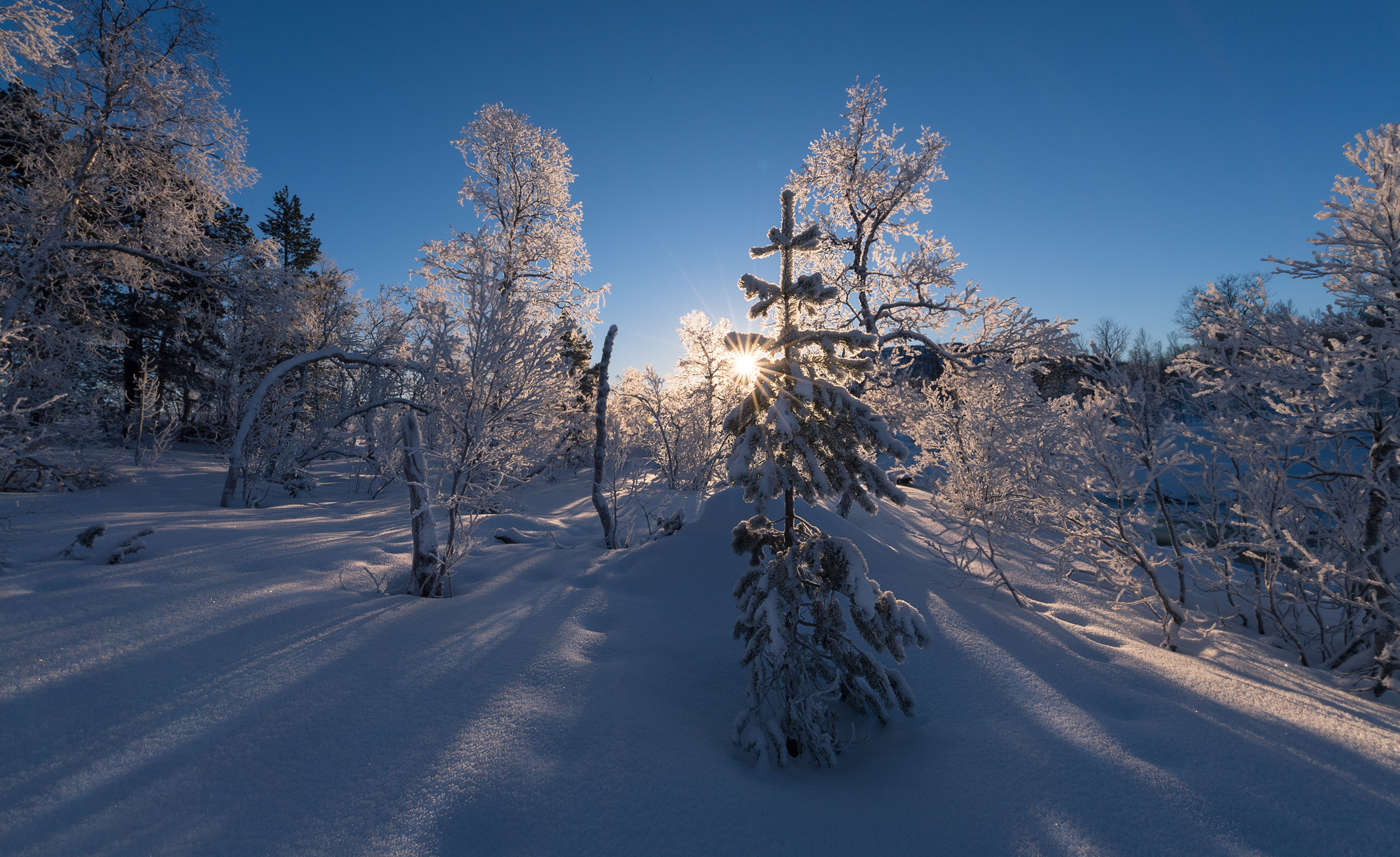 Nikon D5 + Nikon AF-S Nikkor 14-24mm F2.8G ED sample photo. Norway #1 photography