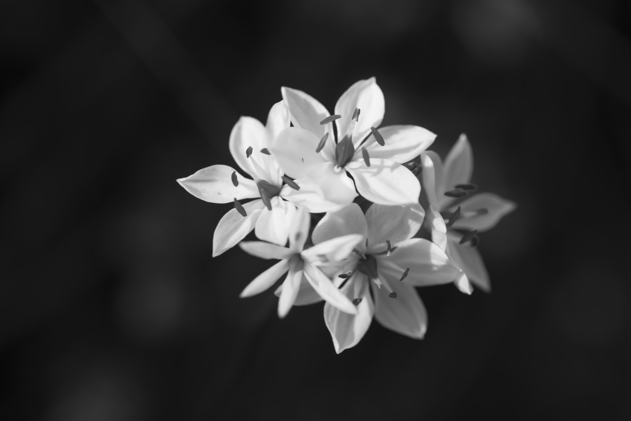 Nikon D810 sample photo. Unseen beauty of western australia photography