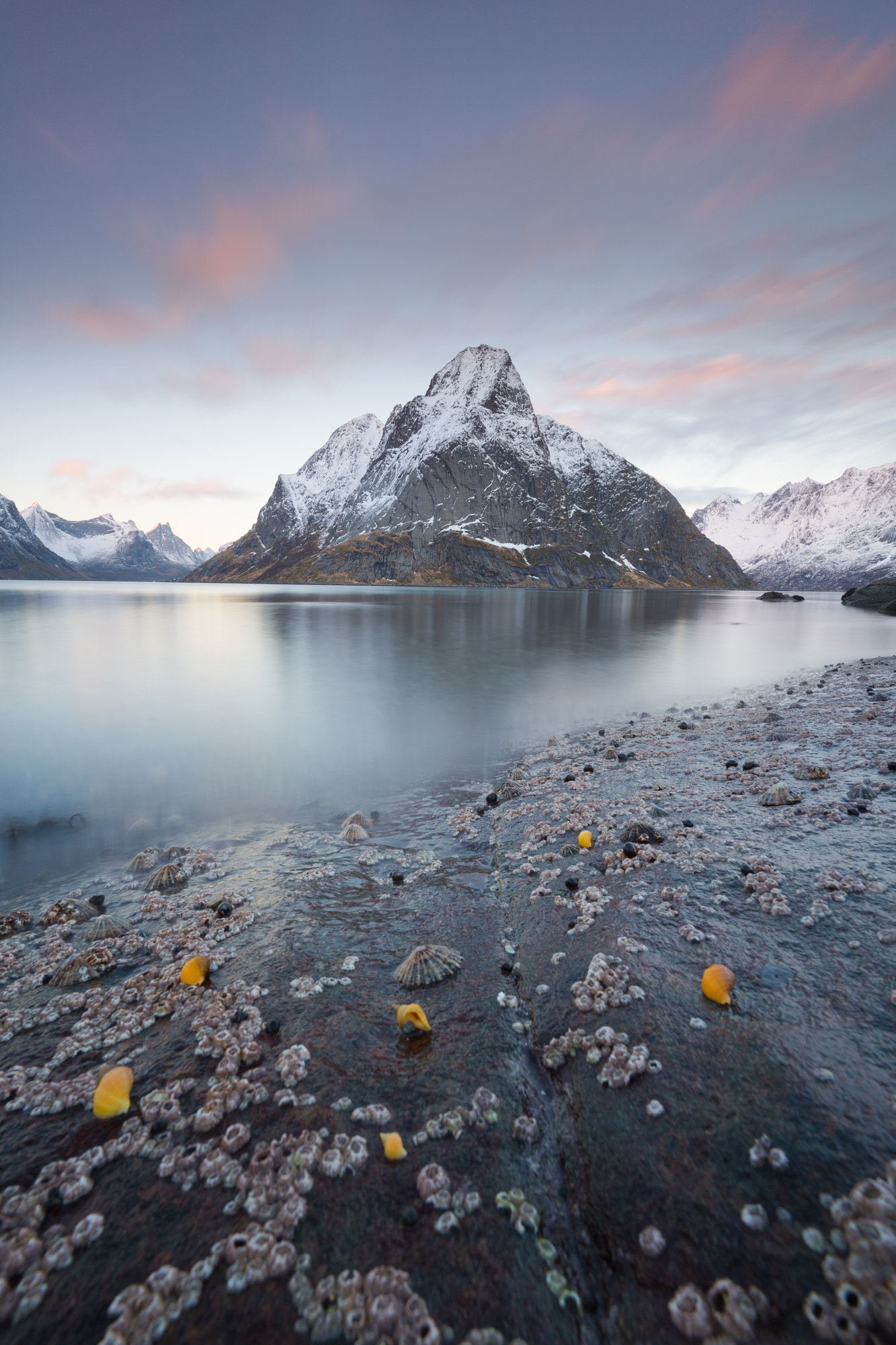 Nikon D5 + Nikon AF-S Nikkor 16-35mm F4G ED VR sample photo. Lofoten #2 photography