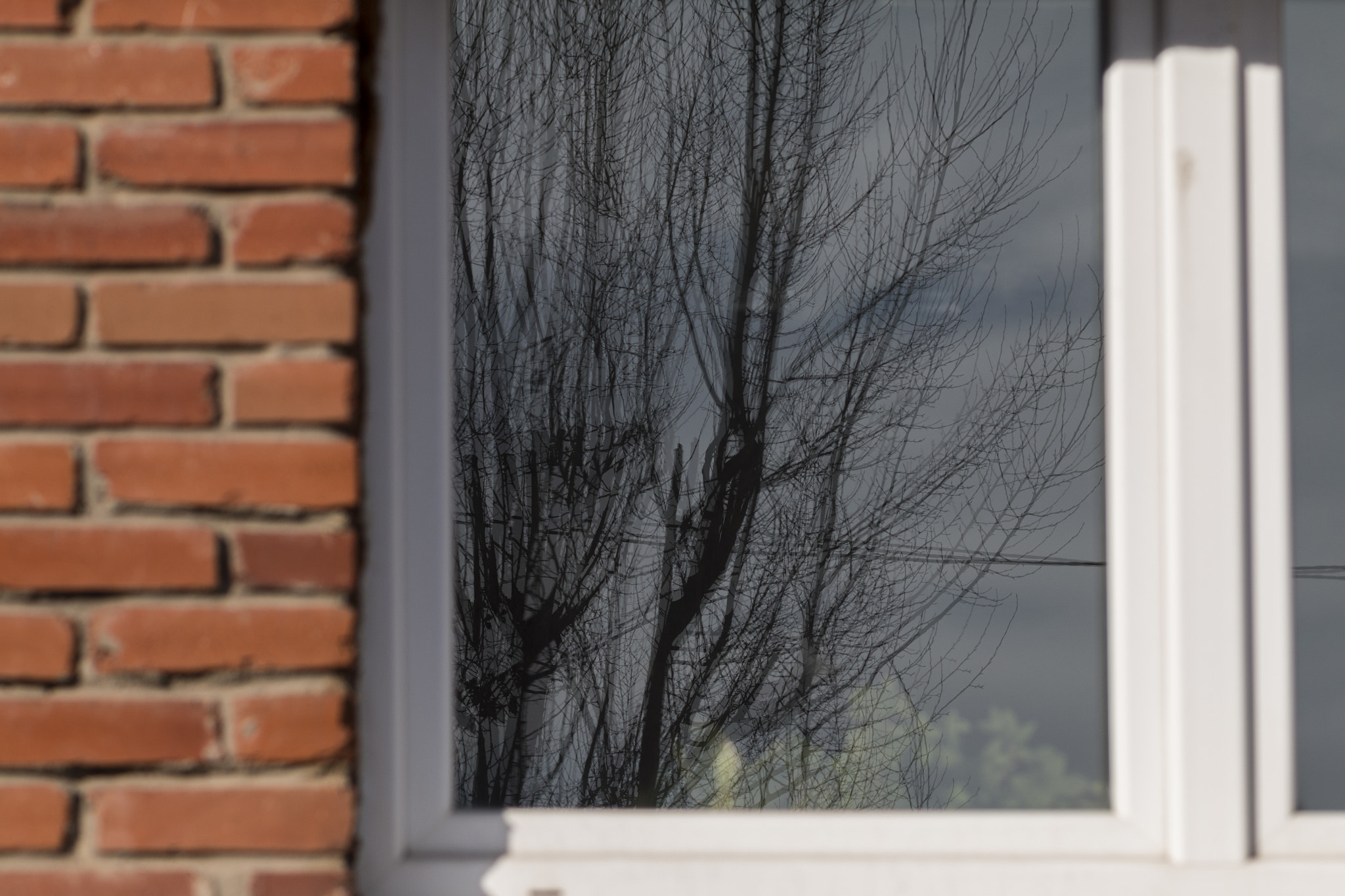 Canon EOS 70D + Canon EF 85mm F1.8 USM sample photo. Img photography