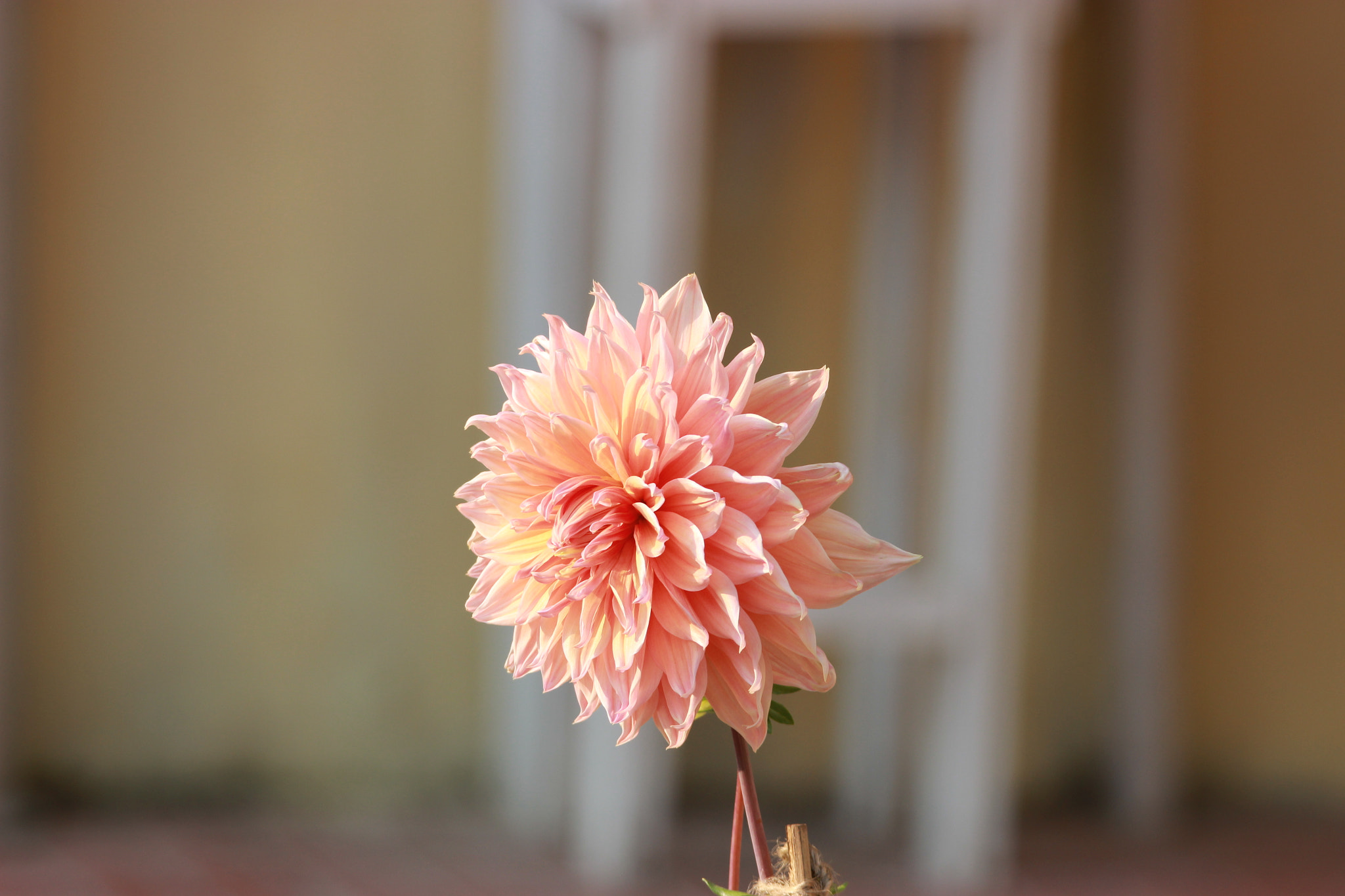 Tamron SP 150-600mm F5-6.3 Di VC USD sample photo. Img photography