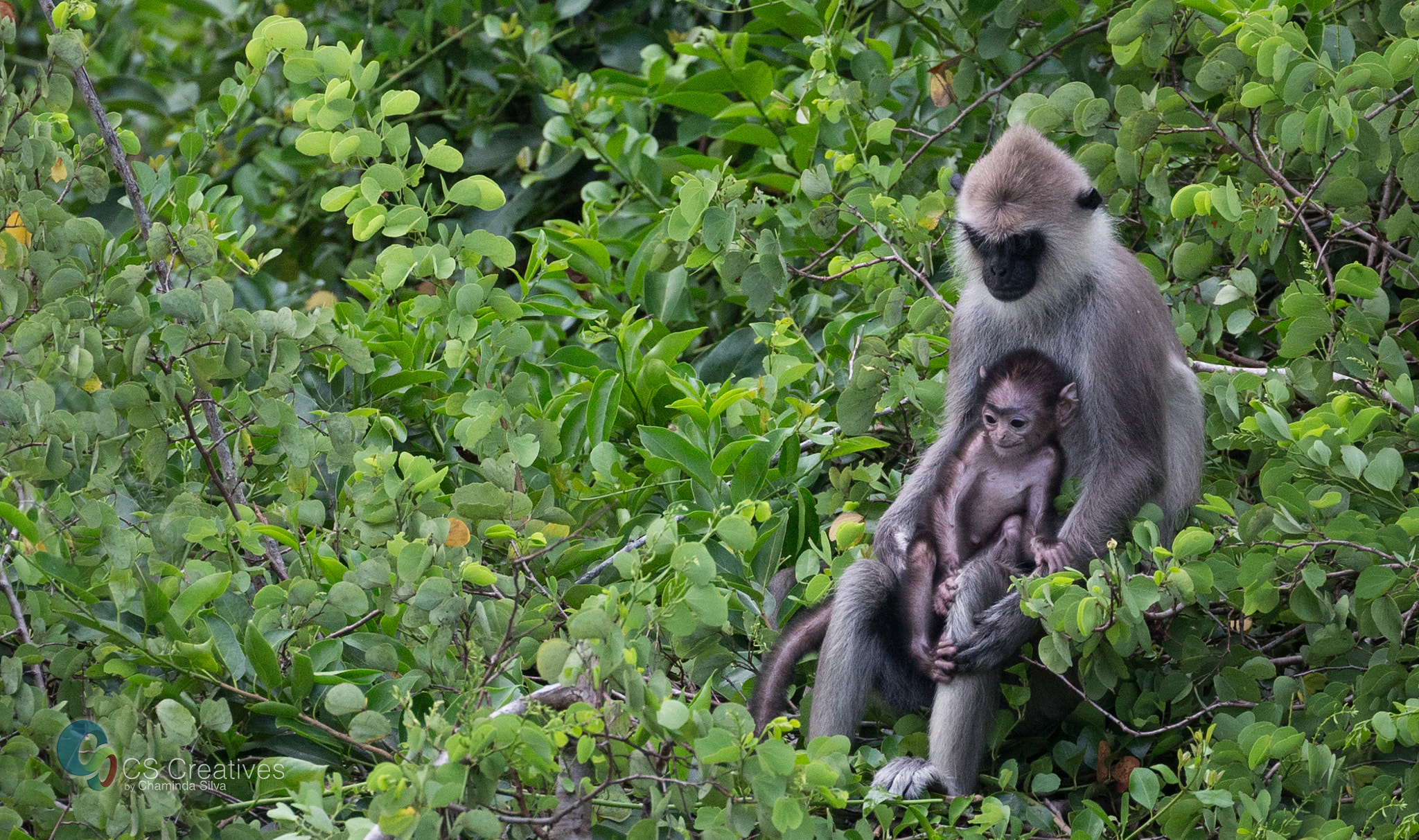 Canon EOS-1D X sample photo. Mother and baby photography
