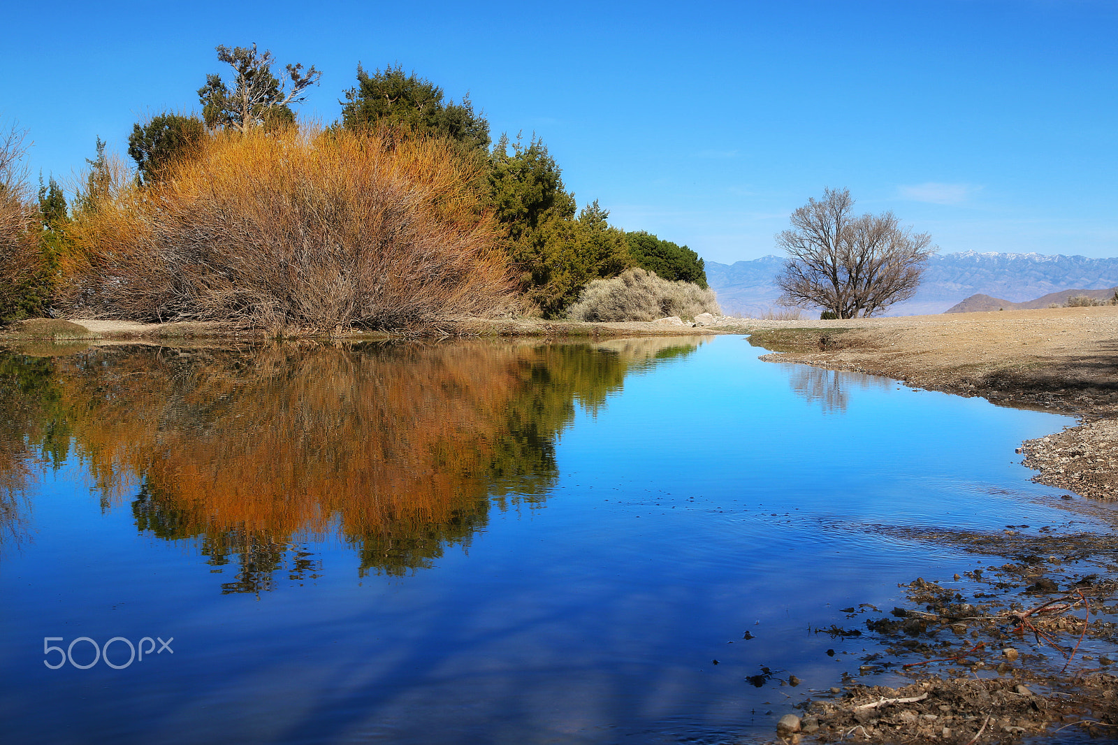 Canon EF 24-70mm F2.8L II USM sample photo. Little pond reflections photography