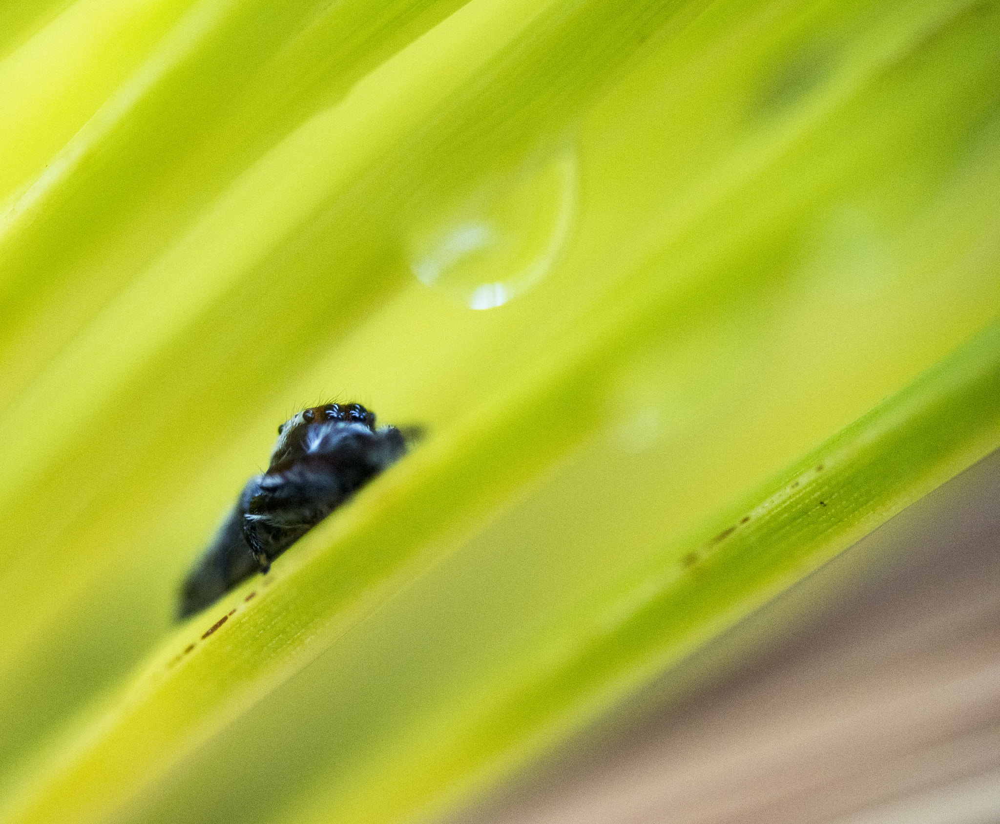 Nikon D810 sample photo. Unseen beauty of western australia photography