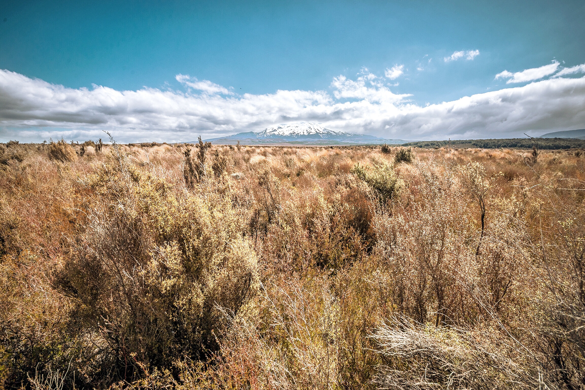 Nikon Df sample photo. Deserted desert road. photography