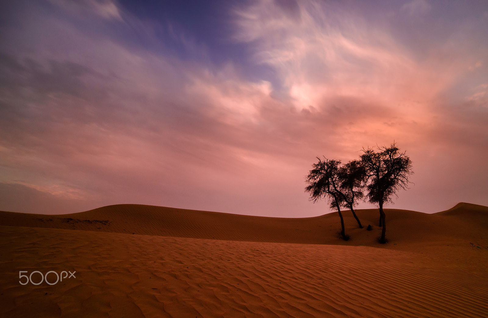 Samyang 14mm F2.8 ED AS IF UMC sample photo. Desert sunset photography