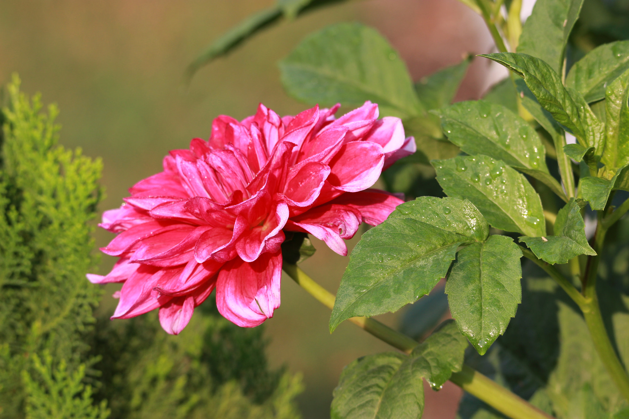 Tamron SP 150-600mm F5-6.3 Di VC USD sample photo. Img photography
