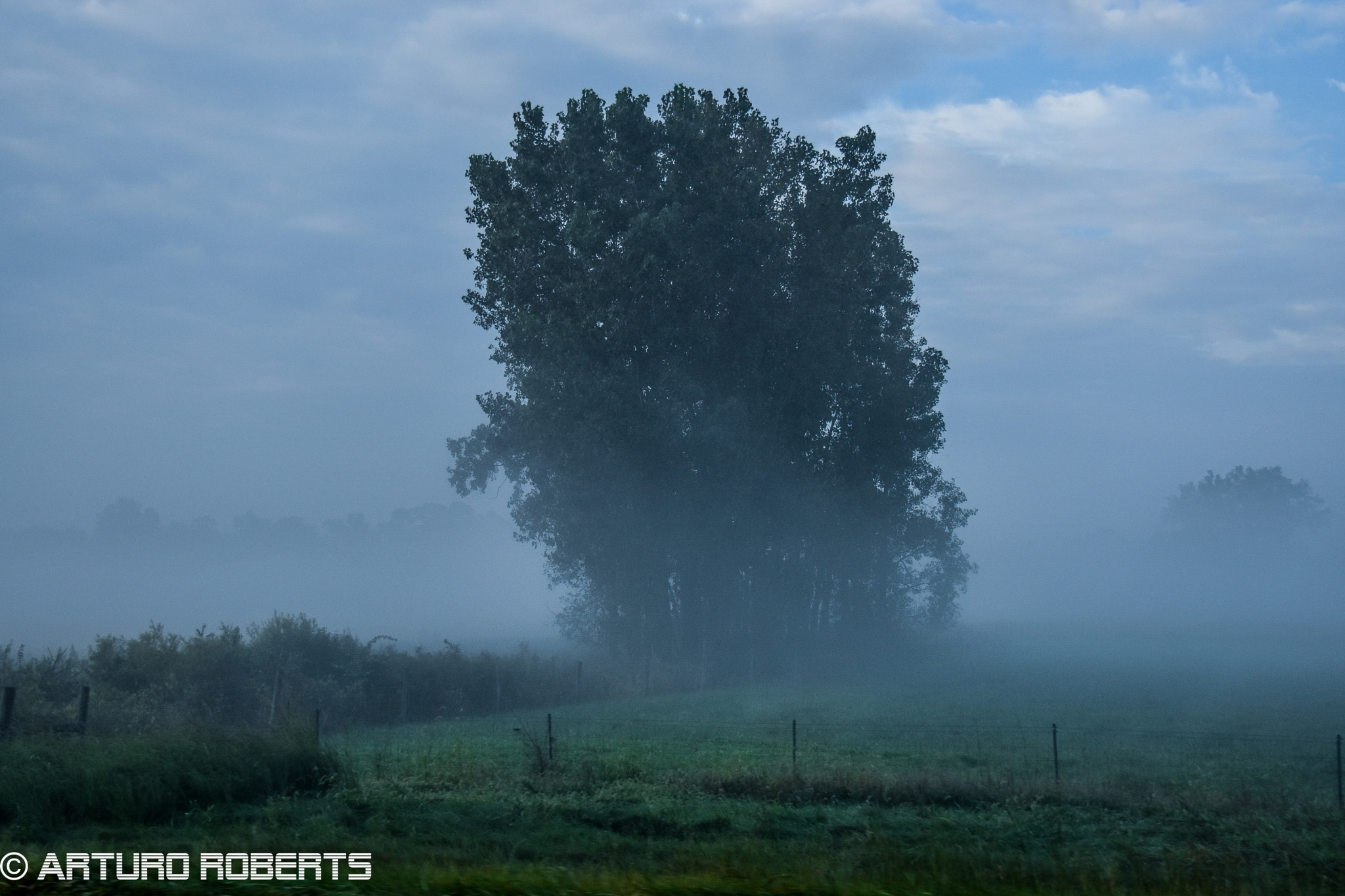 Nikon D5500 sample photo. In the mist photography