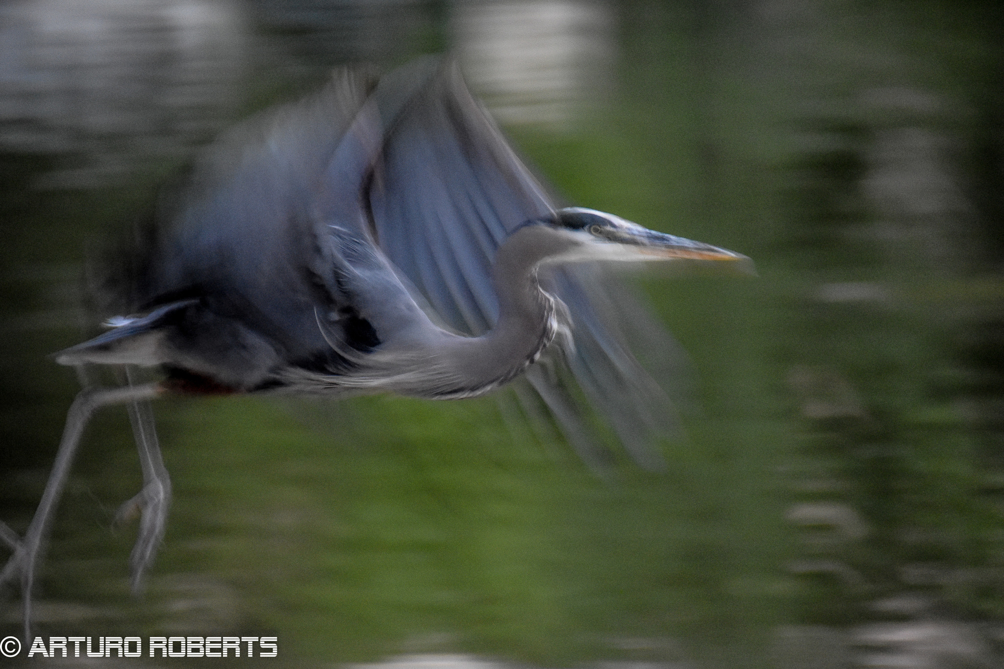 Nikon D5500 sample photo. Take off photography